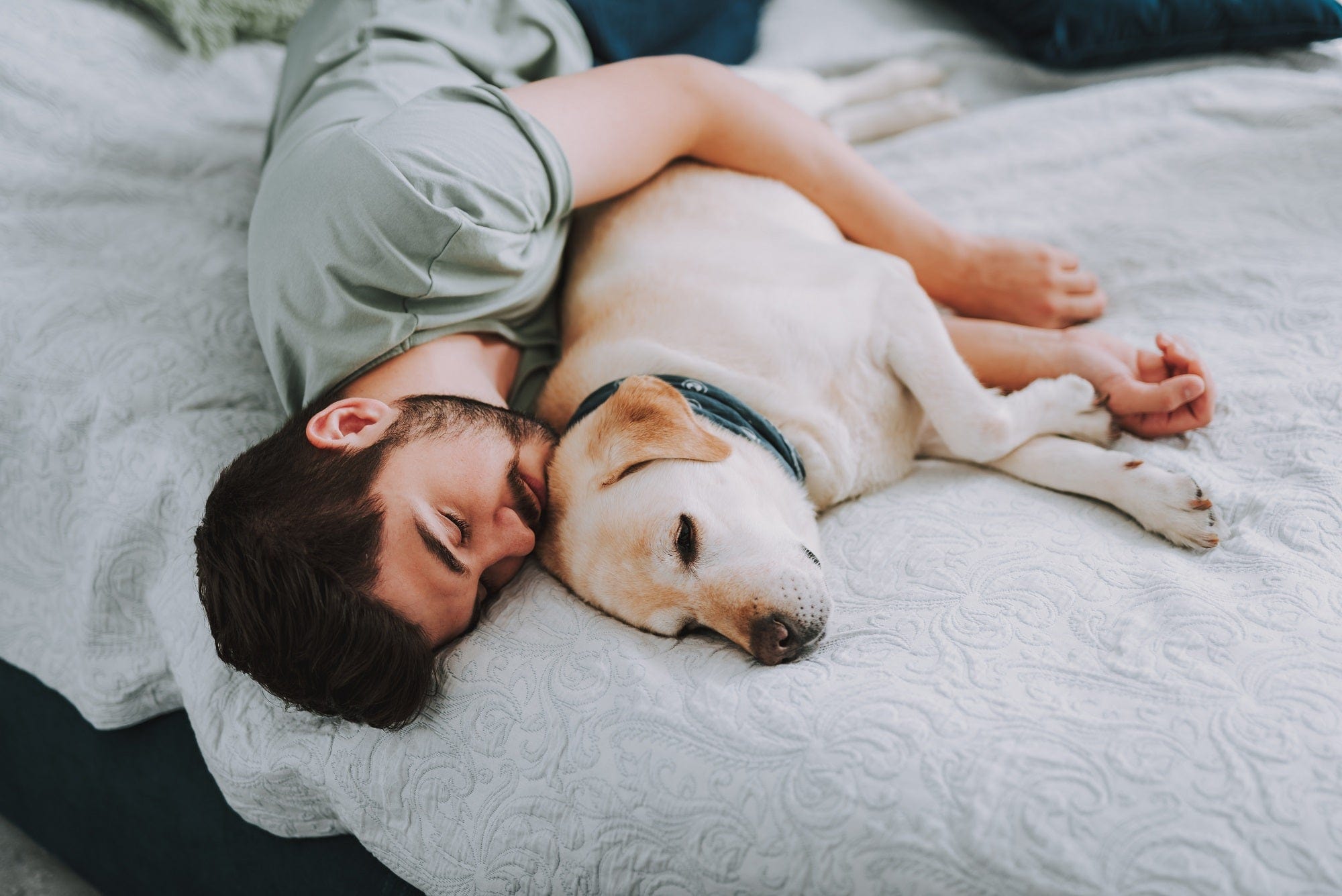 cuddly little spoon